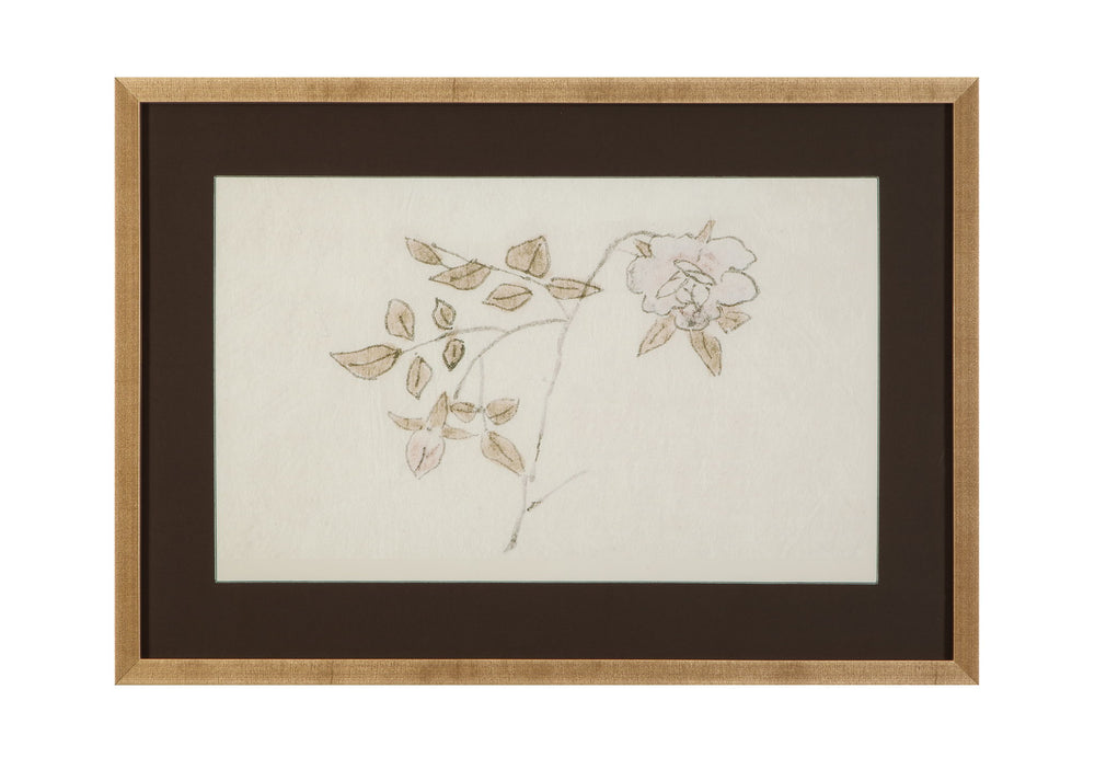 Delicate Rose II Framed Print - Cream