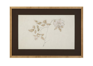 Delicate Rose II Framed Print - Cream