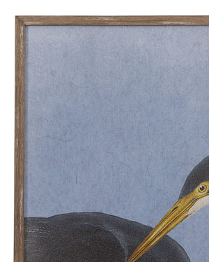 Bayou Heron I Framed Print - Blue / Black