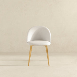 Marion - Mid Century Modern Dining Chair (Set of 2)