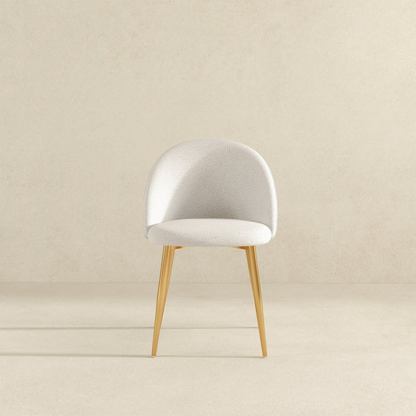 Marion - Mid Century Modern Dining Chair (Set of 2)