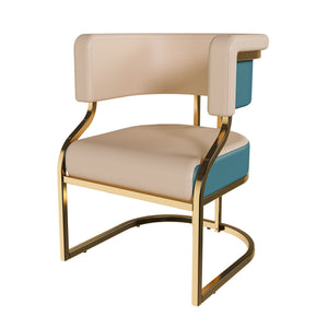 Dining Chairs Ergonomic Curved Backres (Set of 2) - Blue / Neutral