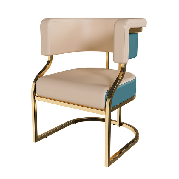 Dining Chairs Ergonomic Curved Backres (Set of 2) - Blue / Neutral