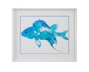 Watercolor Fish I Framed Print - Blue / White