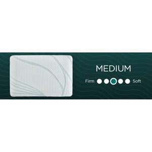 Tempur-Adapt - Tempur-Pedic Adapt ProLo 2.0