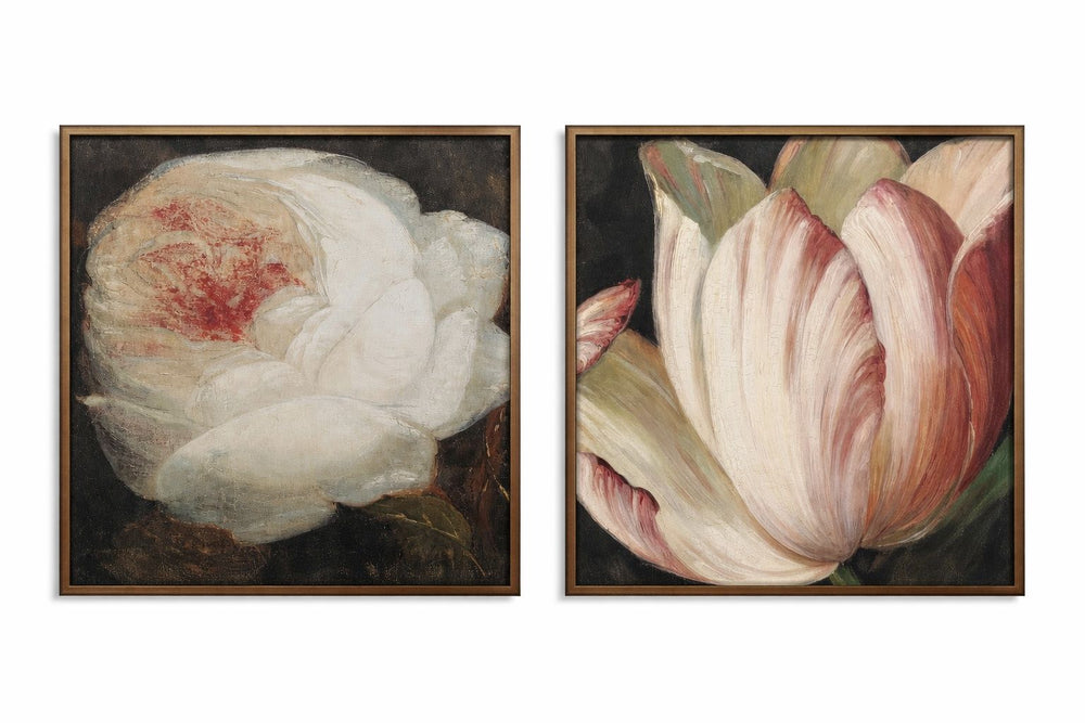 The Secret Garden Framed Print (Set of 2) - Cream