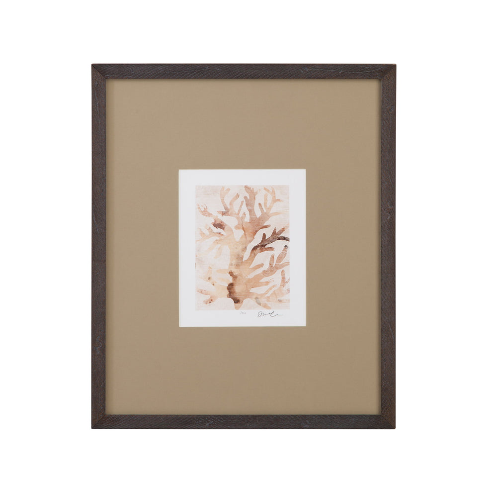 Parchment Coral III Framed Print - Brown
