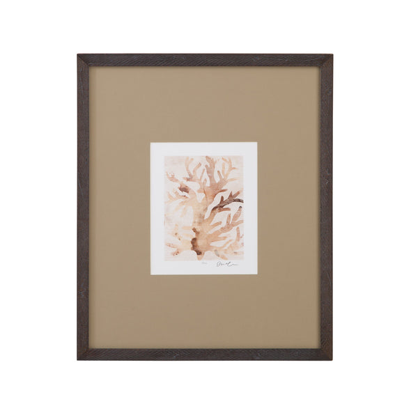 Parchment Coral III Framed Print - Brown
