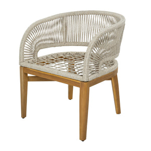 Outdoor Dining Chairs With Cushion (Set of 2)