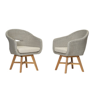 Modern Coastal Rattan Dining Chairs, (Set of 2), Solid Wood Legs - Beige