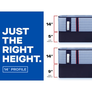 Posturepedic Pro - Dupont II Tight Top Soft Mattress