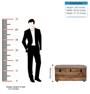 Buffalo - Storage Trunk