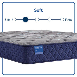 Carrington Chase - Pacific Rest Soft Tight Top Mattress