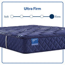 Carrington Chase - Travelers Rest Ultra Firm Tight Top Mattress