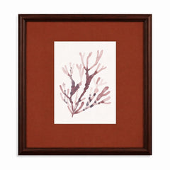 Spotted Coral Framed Print - Red