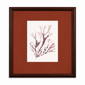Spotted Coral Framed Print - Red