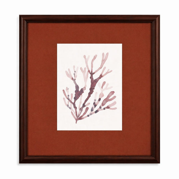 Spotted Coral Framed Print - Red