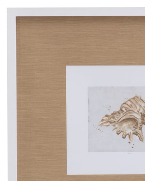Neutral Shell Fresco III Framed Print - Light Brown / White
