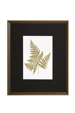 Antique Fern I Framed Print - Gold / White / Brown