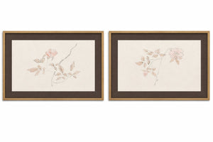 Delicate Rose Framed Print (Set of 2) - Cream