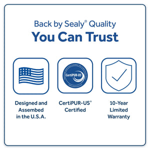 Midnight Cove - Medium Mattress