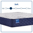 Carrington Chase - Murry Hill Soft Tight Top Mattress