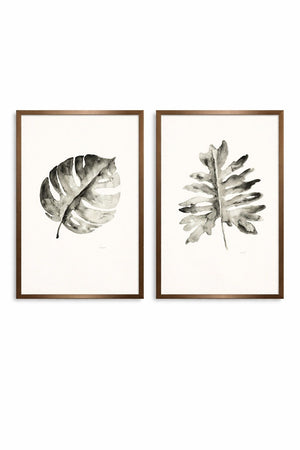 B & W Palm Framed Print (Set of 2) - White