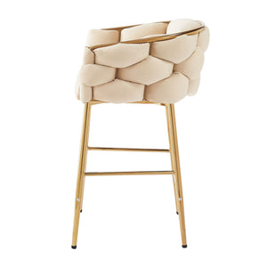 Modern Counter Stools (Set of 2)